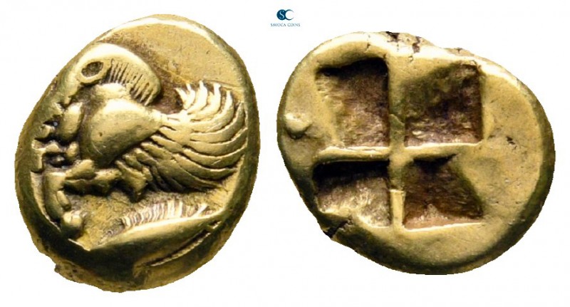 Mysia. Kyzikos 550-500 BC. 
Hekte - 1/6 Stater EL

10 mm, 2,67 g

Forepart ...