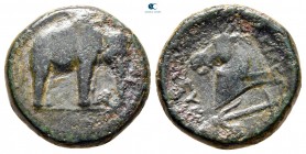 Seleukid Kingdom. Apameia on the Orontes. Seleukos I Nikator 312-281 BC. Bronze Æ