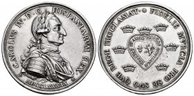 Carlos IV (1788-1808). Medalla de Proclamación. 1789. Murcia. (H-78). Ag. 19,66 g. Limpiada. 39 mm. Rara. EBC-. Est...200,00. /// ENGLISH: Charles IV ...
