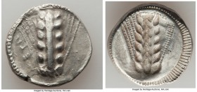LUCANIA. Metapontum. Ca. 510-470 BC. AR stater (21mm, 7.72 gm, 11h). VF. META, six-grained barley ear; guilloche border on raised rim / Incuse five-gr...