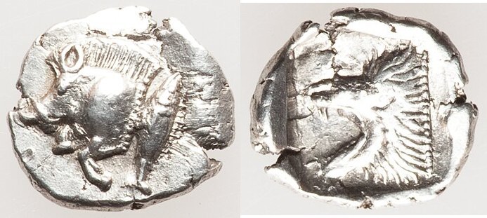 MYSIA. Cyzicus. Ca. 5th century BC. AR obol(?) (10mm, 0.59 gm, 12h). Forepart of...