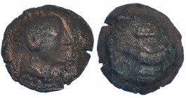 TIPO JABALÍ-CLAVA. As. A/ Cabeza masculina a der. R/ Jabalí a izq., encima clava. AE 12,4 g. CNH-1. I-No. ACIP-2437. BC-. Rara.