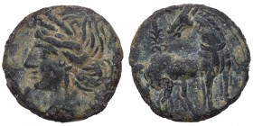 221-210 aC. Mundo Antiguo. Cartago. AE20. SNG COP-317. Ae. Cabeza de Tanit /Caballo, detrás Palmera. ESCASA. MBC-. Est.120.