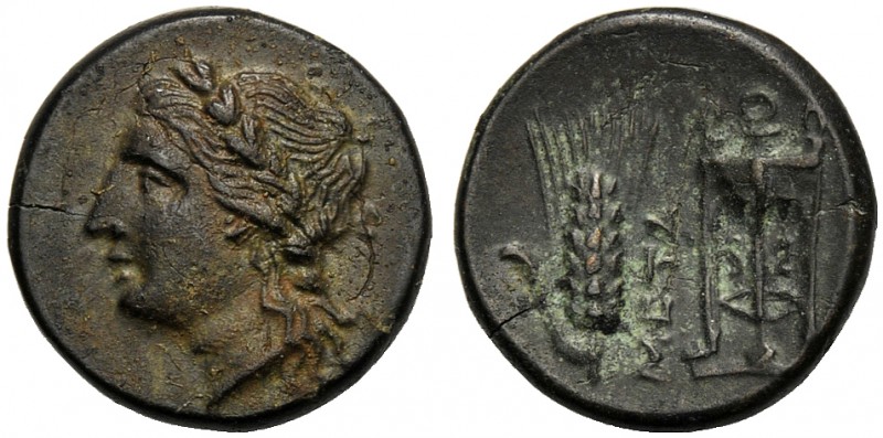Lucania, Bronze, Metapontion, c. 300-250 BC AE (g 2,97 mm 16 h 6) Laureate head ...