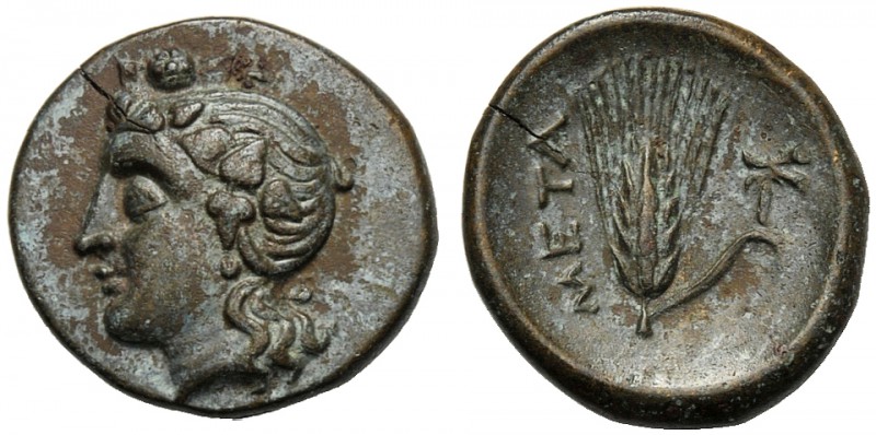 Lucania, Bronze, Metapontion, c. 300-250 BC AE (g 2,98 mm 15 h 3) Head of Dionys...