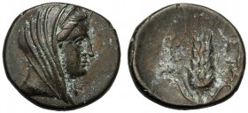 Lucania, Bronze, Metapontion, c. 300-250 BC AE (g 2,77 mm 15 h 6) Bust of Demeter r., wearing stephane and veil, Rv. META, barley-ear with short leaf ...