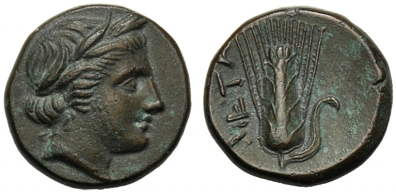 Lucania, Bronze, Metapontion, c. 300-250 BC AE (g 2,71 mm 13 h 8) Head of Demete...