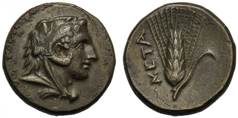 Lucania, Bronze, Metapontion, c. 300-250 BC AE (g 2,91 mm 15 h 6) Head of Herakl...