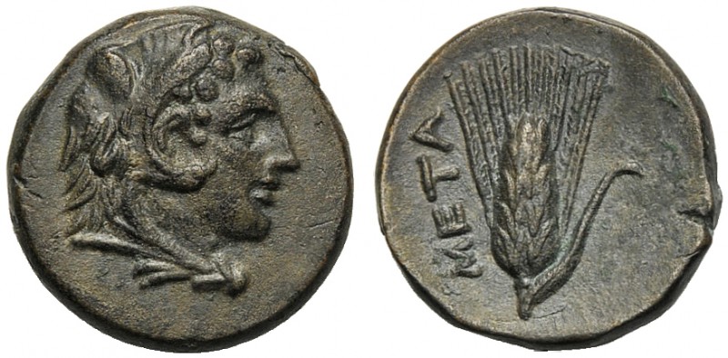 Lucania, Bronze, Metapontion, c. 300-250 BC AE (g 3,08 mm 14 h 9) Head of Herakl...