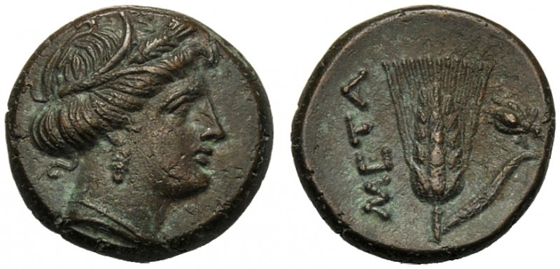Lucania, Bronze, Metapontion, c. 300-250 BC AE (g 2,86 mm 14 h 7) Head of Demete...