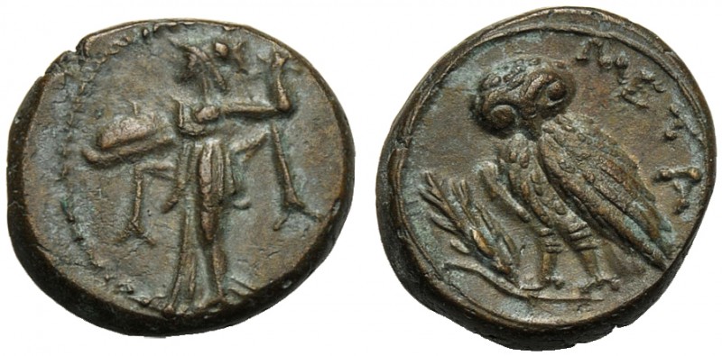 Lucania, Bronze, Metapontion, c. 300-250 BC AE (g 3,13 mm 15 h 8) Athena Alkidem...