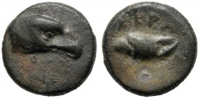 Sicily, Semionkia, Akragas, c. 450-406 BC AE (g 1,18 mm 10 h 8) Head of eagle r., Rv. AKPA (retr.), claw. CNS I, n. 88 SNG Copenhagen - SNG ANS -. Ext...