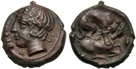 Sicily, Tetras, Piakos, c. 425-400 BC AE (g 2,60 mm 13 h 12) ΠIAK, laureate head of river god l. at l., three pellets, Rv. Hound attacking stag r. at ...