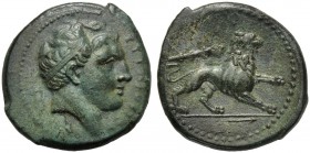 Sicily, Agathokles (317-289), Bronze, Syracuse, c. 317-289 BC AE (g 8,85 mm 22 h 12) ΣYPAKOΣIΩN, diademed head of Herakles r. dotted border, Rv. Lion ...