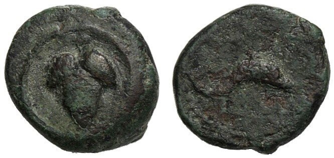 Islands of Sicily, Bronze, Lipara, after 252 BC AE (g 1,41 mm 10 h 4) Bunch of g...