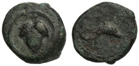 Islands of Sicily, Bronze, Lipara, after 252 BC AE (g 1,41 mm 10 h 4) Bunch of grapes linear border, Rv. Dolphin r. CNS I, n. 47 SNG Copenhagen - SNG ...