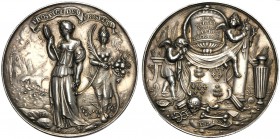 Netherlands, Nijmegen, The Peace of Nijmegen and death of Van der Linden, 1677, engraver J. Rottier AR (g 157,60 mm 73 h 12) PROSPICE DVM THRIVE, Vani...