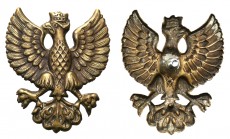 Collection of Eagles
POLSKA/ POLAND/ POLEN/ RUSSIA/ RUSSLAND/ РОССИЯ

Eagle Greater Poland Uprising 1918-1919 

Orłów „wielkopolskich” powstało p...