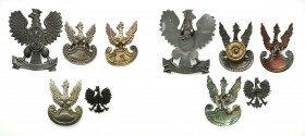 Collection of Eagles
POLSKA/ POLAND/ POLEN/ RUSSIA/ RUSSLAND/ РОССИЯ

Second Polish Republic. set 5 eagles - pattern 19 

W skład zestawu wchodzą...