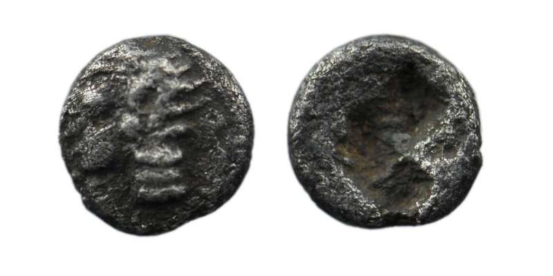 Ionia. Phokaia circa 500 BC.
Tetartemorion AR
6mm., 0,19g.
Archaic head of Athen...