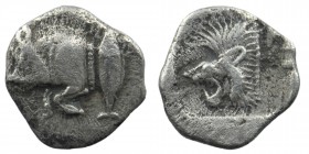 Mysia. Kyzikos circa 480-400 BC. Obol AR
Forepart of boar left; tunny upward to right.
Rev: Head of roaring lion left, with star to left; all within i...