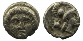 Pisidia. Selge 350-300 BC. AR Obol
0,92 gr. 9 mm
