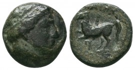 Kings of Macedon . Philip II, AE Unit 359-336 BC

Condition: Very Fine

Weight:5.45 gr
Diameter: 17 mm