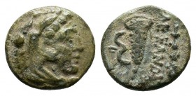 KINGDOM of MACEDON.Alexander III 'the Great',327-323 BC.AE Bronze

Condition: Very Fine

Weight: 1.3 gr
Diameter: 12 mm