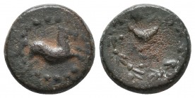 Greek Coins, Circa 133-1st century BC. Æ

Condition: Very Fine

Weight: 3.7 gr
Diameter: 16 mm