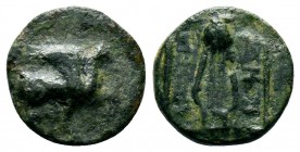 Greek Coins, Circa 2nd - 1st century BC. Æ

Condition: Very Fine

Weight: 1.0 gr
Diameter: 11 mm