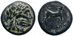 Aeolis. Aigai circa 300-200 BC. AE Bronze.Head of Apollo right / AIΓAEΩN, goat standing right.SNG Cop. 10; SNG von Aulock 1596.

Condition: Very Fine
...
