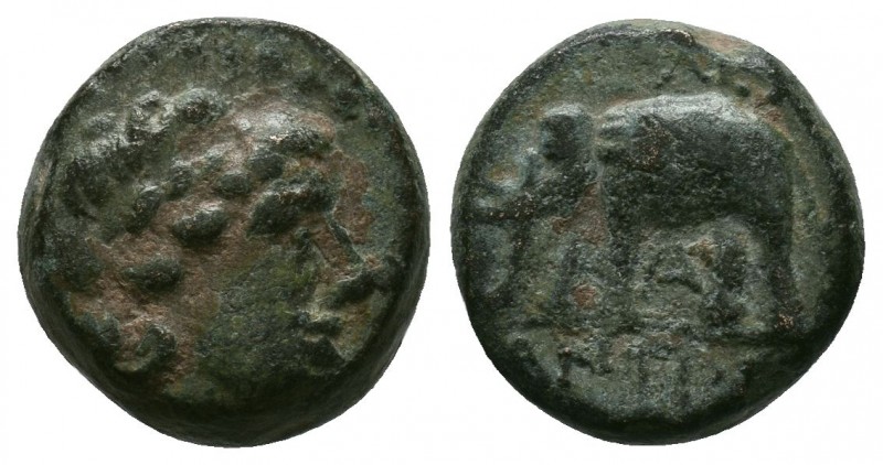 Seleukid Kingdom. Antiochos III. 223-187 B.C. AE

Condition: Very Fine

Weight:3...