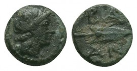 Antiochos I. Soter 281-262 Ae.

Condition: Very Fine

Weight:0.71 gr
Diameter: 8 mm