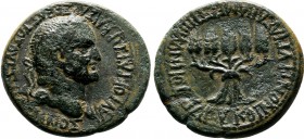 PHRYGIA. Apameia. Vespasian , (69-79 AD). AE Bronze. AYTOKPATΩP KAIΣAP ΣEBAΣTOΣ OYEΣΠΑΣIANOΣ Laureate head of Vespasian to right / EΠΙ ΠΛΑΝΚΙΟΥ ΟΥΑΡΟΥ...