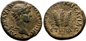 CAPPADOCIA. Caesaraea. Caracalla, (198-217 AD).AE Bronze. AΥ KAI M AΥΡH ANTΩNINOC Laureate head of Caracalla to right / MHTΡOΠO KAICAPI / ET IΔ Bunch ...