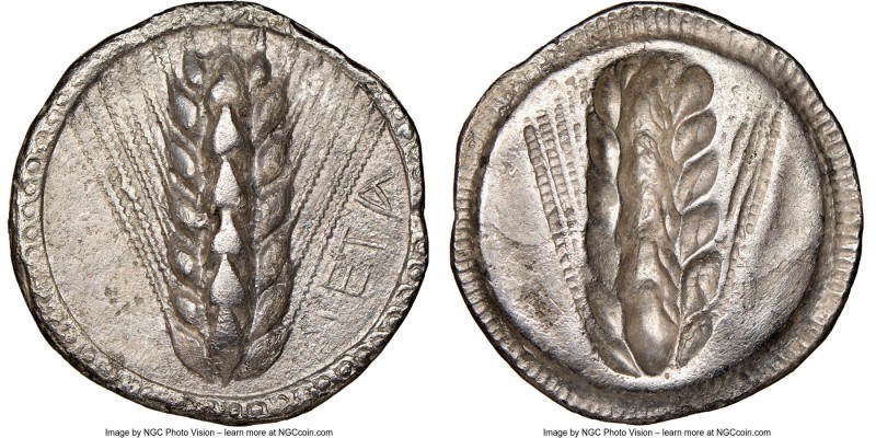 LUCANIA. Metapontum. Ca. 510-470 BC. AR stater (24mm, 7.61 gm, 1h). NGC Choice X...