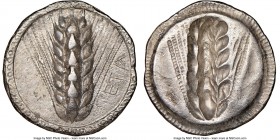 LUCANIA. Metapontum. Ca. 510-470 BC. AR stater (24mm, 7.61 gm, 1h). NGC Choice XF 5/5 - 3/5. META, seven-grained barley ear; guilloche border on raise...