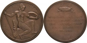 Erster Weltkrieg
 Bronzegussmedaille o.J. (unsigniert) Kunst-Schutz-Kriege. Nach rechts sitzende Minerva / Gekreuzte Waffen und Schild über 6 Zeilen ...