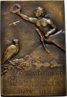 Slg. Joos - Medaillen, Plaketten, Abzeichen der Luftfahrt 1783-1945
 Einseitige Bronzegussplakette o.J. (graviert 1916) (FK) Auf den Tod von Oswald B...