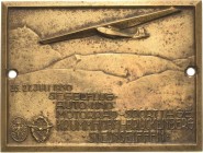 Slg. Joos - Medaillen, Plaketten, Abzeichen der Luftfahrt 1783-1945
 Einseitige Bronzeplakette 1930 (A. Moser) Segelflug-, Auto- und Motorrad-Sportta...