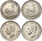 South Africa Lot of 5 Shillings 1949 & 1951
KM# 40.1 & 40.2; Silver; George VI