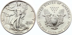 United States 1 Dollar 1989
KM# 273; Silver; "American Silver Eagle"; UNC
