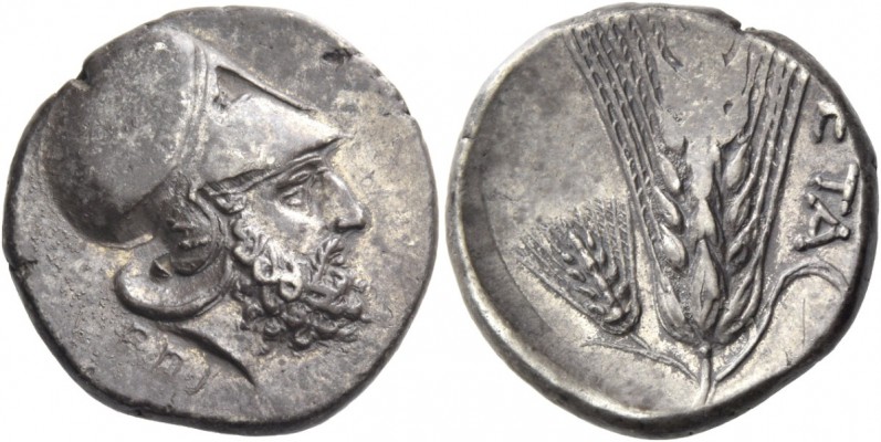 Metapontum. Nomos circa 340-330, AR 7.89 g. Head of Leucippus r., wearing Corint...
