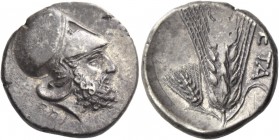 Metapontum. Nomos circa 340-330, AR 7.89 g. Head of Leucippus r., wearing Corinthian helmet; on neck-guard, S and below neck truncation, EΠI. Rev. MET...