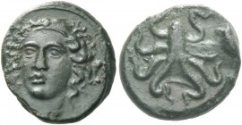 Syracuse. Tetras or dionkia, circa 390, Æ 2.55 g. Female head, wearing ampyx, facing slightly l., hair floating freely. Rev. Octopus; in field, two sm...