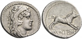 M. Volteius M.f. Denarius 78, AR 3.92 g. Head of Hercules r., wearing lion’s skin. Rev. Erymanthian boar r.; in exergue, M·VOLTEI·M·F. Babelon Volteia...