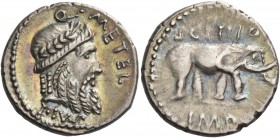 Q. Caecilius Metellus Pius Scipio. Denarius, Africa 47-46, AR 3.80 g. Q·METEL Laureate head of Jupiter r.; below, PIVS. Rev. SCIPIO Elephant r.; in ex...