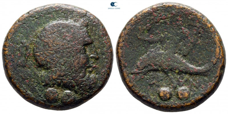 Calabria. Brundisium circa 215 BC. 
Bronze Æ

27 mm., 17,98 g.



fine