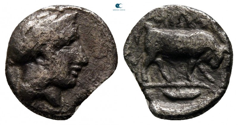 Lucania. Thourioi circa 350-300 BC. 
Triobol AR

11 mm., 1,01 g.



nearl...