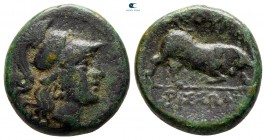 Lucania. Thourioi circa 300-280 BC. Bronze Æ